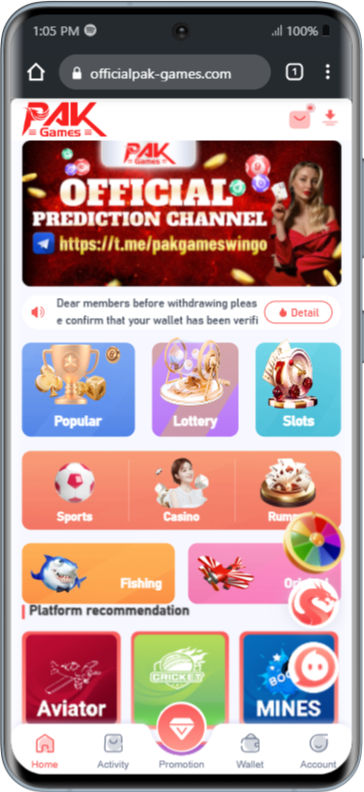 Screenshot image